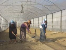 SRAP yüz güldürüyor